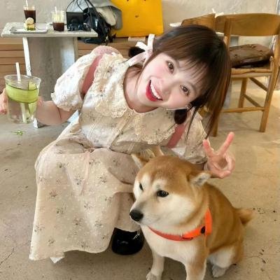 和平的全盛时代